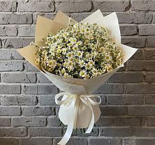 Букет цветов из:  Ромашки в Детчино