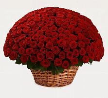 Премиум букет из: Розы в Детчино